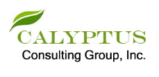 Calyptus logo